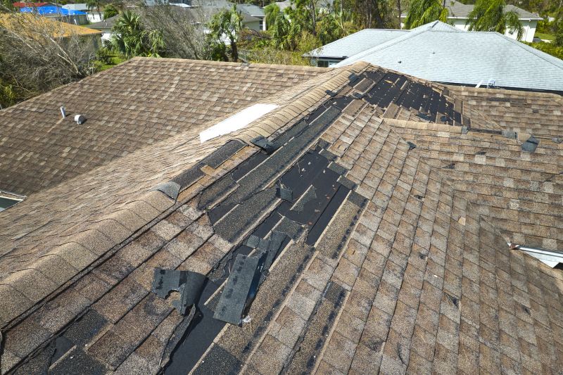 Damaged Shingle Replacement