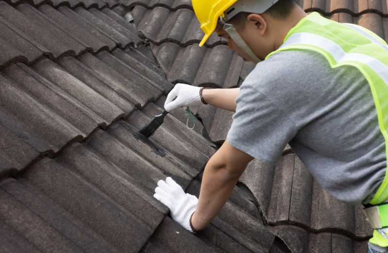 Handyman Roof Repair